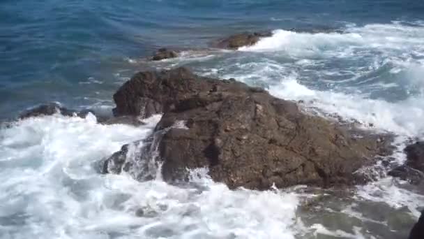 Piękne Fale Morza Kamienistej Plaży — Wideo stockowe