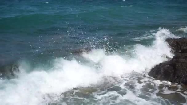 Belles Vagues Mer Sur Plage Rocheuse — Video