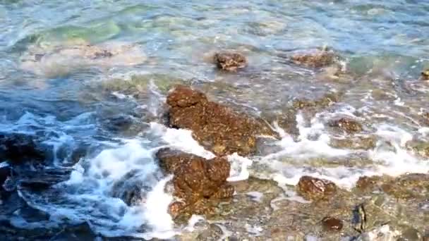 Olas Del Océano Belleza Las Orillas Rocosas — Vídeos de Stock