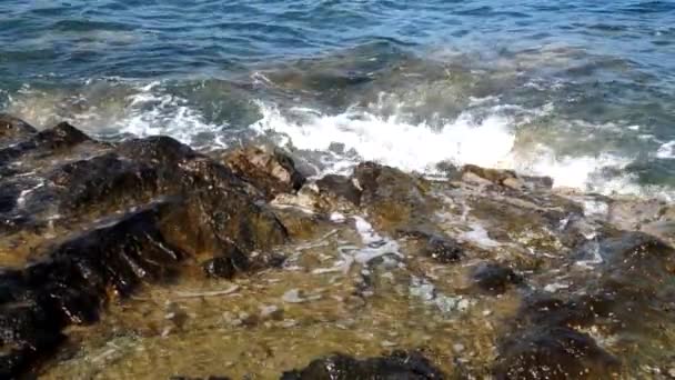 Ondas Oceânicas Beleza Praias Rochosas — Vídeo de Stock