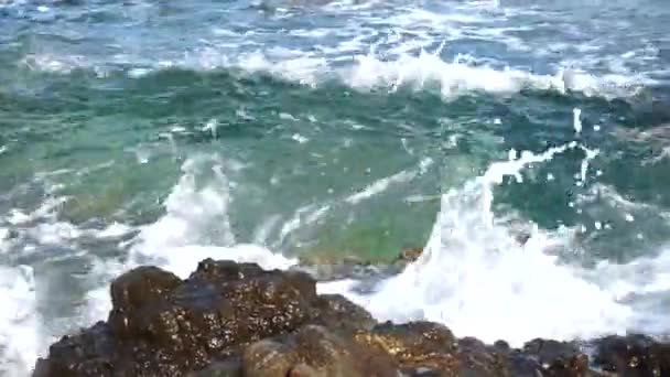 Ondas Bonitas Mar Praia Rochosa — Vídeo de Stock