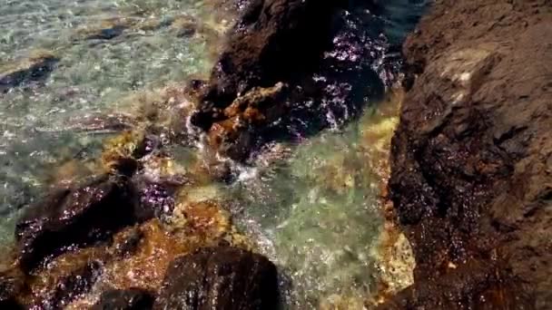 Beauté Vagues Océaniques Sur Les Rivages Rocheux — Video