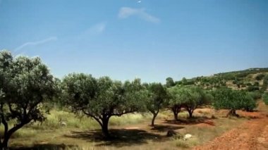 Dağlar peyzaj manzaralı yol