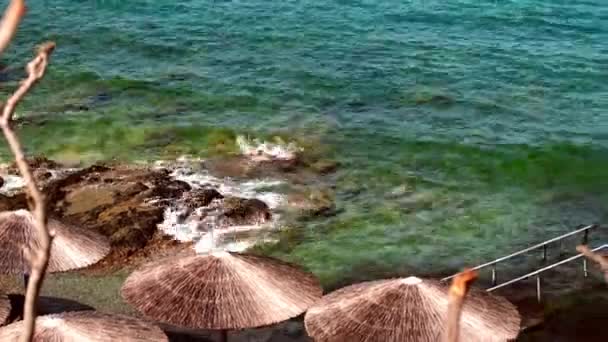 Sea Beach Met Bamboe Paraplu Aan Zee — Stockvideo