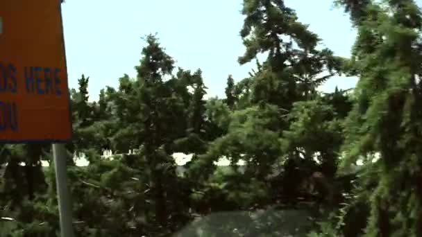 Водіння Протягом Дня Шосе Великою Кількістю Дерев Вид Дорогу — стокове відео
