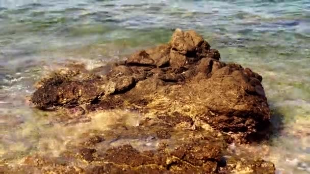 Perto Das Ondas Oceânicas Nas Costas Rochosas — Vídeo de Stock