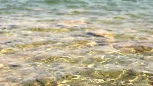 Nahaufnahme Von Meereswellen Flachen Wasser — Stockvideo