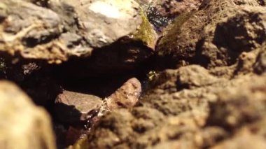 Güzellik kayalık plaj. Vawes ve kayalar ile deniz kıyısı