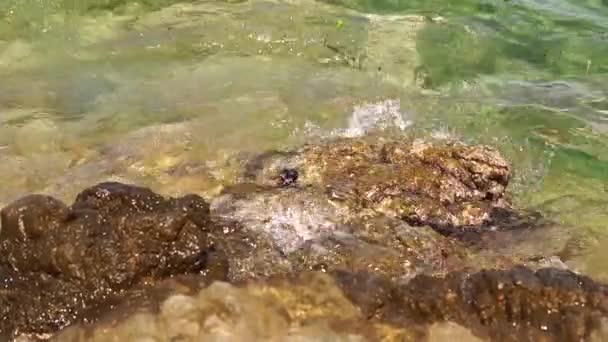 beauté plage rocheuse. Bord de mer avec vawes et rochers 