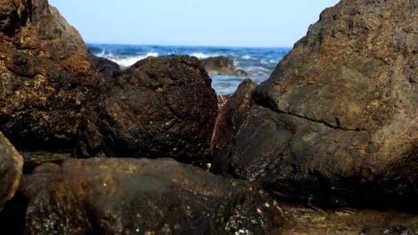 Красивий Скелястий Пляж Морське Узбережжя Скелями Скелями — стокове відео