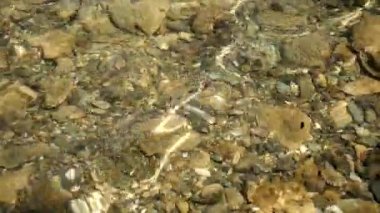 güzel çakıl plajı ile deniz dalgaları