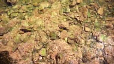 güzel çakıl plajı ile deniz dalgaları