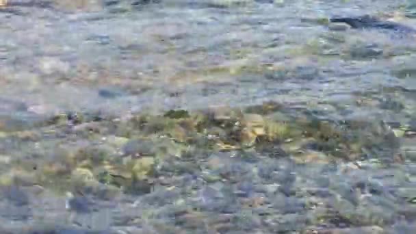 美しい小石のビーチ海の波 — ストック動画