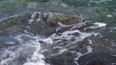 mavi deniz suyu ve dalgalar doku