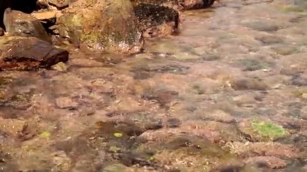 Bela Praia Seixos Com Ondas Mar — Vídeo de Stock