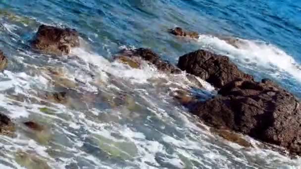 Vagues Mer Sur Plage Rocheuse — Video