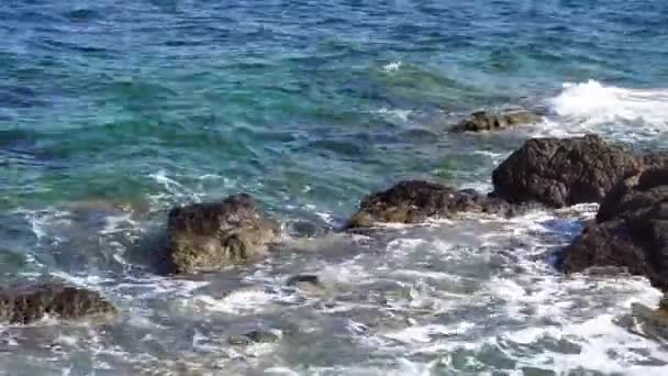 Dzika Plaża Skalista Fale Oceanu — Wideo stockowe