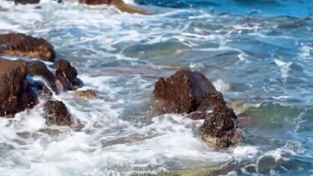 海の波を野生の岩のビーチ — ストック動画