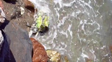 kayalık sahilde denizin dalgaları