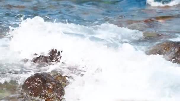 Fale morza na kamienistej plaży — Wideo stockowe