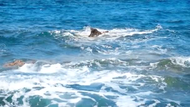 Beleza costa rochosa e ondas do mar — Vídeo de Stock