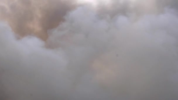 Fumée noire du feu