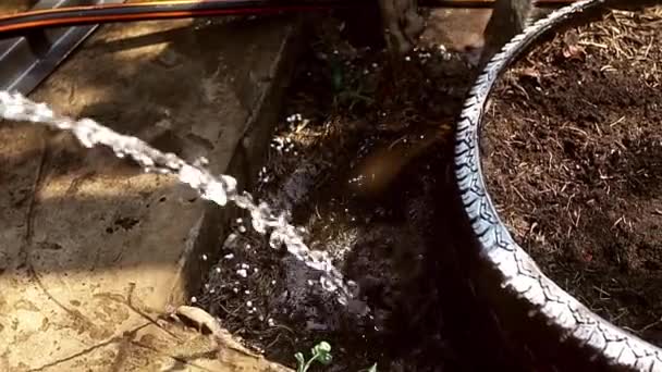 Śmieszne pies Labrador gra z wodą — Wideo stockowe