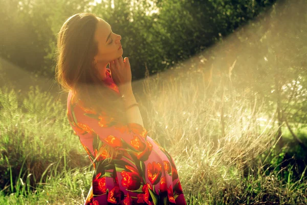 Chica embarazada en vestido en la naturaleza —  Fotos de Stock