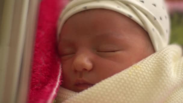 Closeup of newborn girl sleeping in maternity hospital — Stock Video