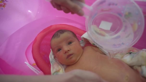 Newborn girl bathes in bathtub for first time — Stock Video