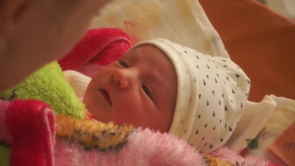 Beautiful Young Mom Newborn Baby — Stock Video