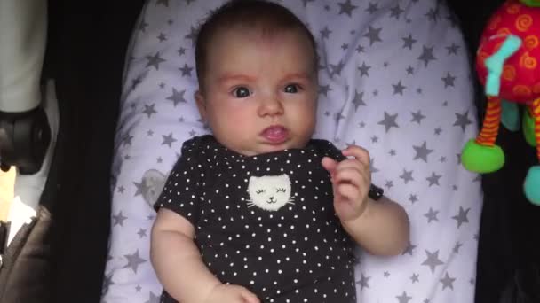 ベビーカーでかわいい赤ちゃん女の子 — ストック動画