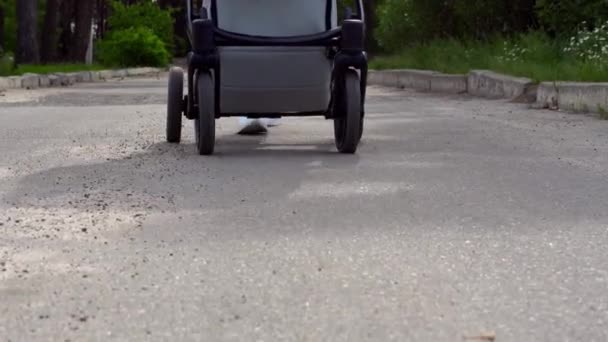 Eine Junge Mutter Geht Mit Einem Baby Kinderwagen — Stockvideo