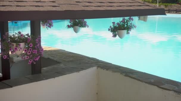 Piscina Con Acqua Blu Fiori Intorno — Video Stock