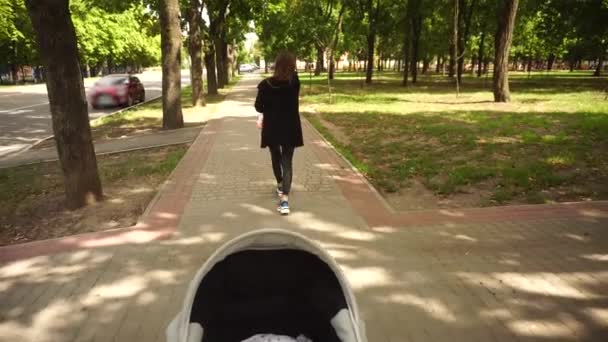 Elegante Giovane Mamma Con Piccolo Bambino Tra Braccia — Video Stock