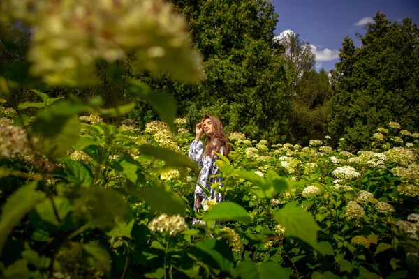 Sexy young lady posing in the field flowers in dress with print — Stock Photo, Image