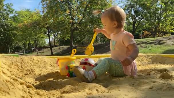 Schattig Peuter Meisje Speelt Zandbak Met Speelgoed Zomer Tijd — Stockvideo