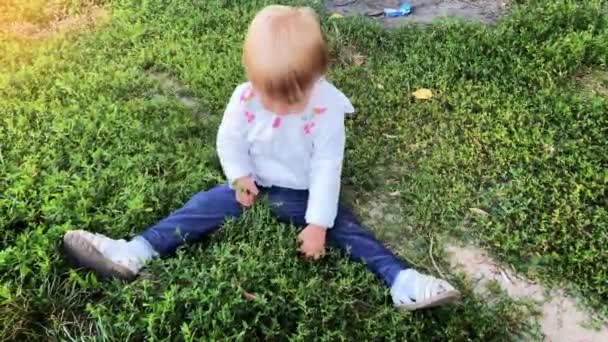 Encantadora niña rubia pequeña se sienta y cortar una hierba en un césped — Vídeos de Stock