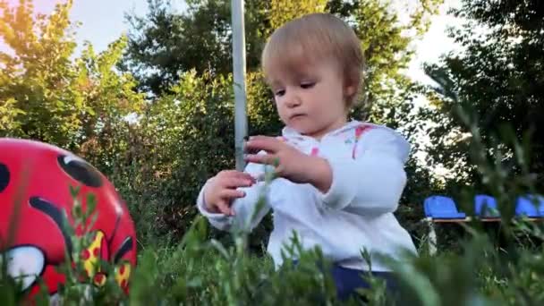 Schattig blond Kaukasisch baby meisje gemaaid gras en uit het op een rode bal buiten — Stockvideo