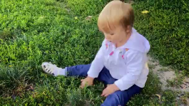 Mooi blond peuter meisje zit en het snijden van een gras op een gazon — Stockvideo