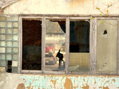 kırık bir pencere ile terk edilmiş bir binanın duvar parçası
