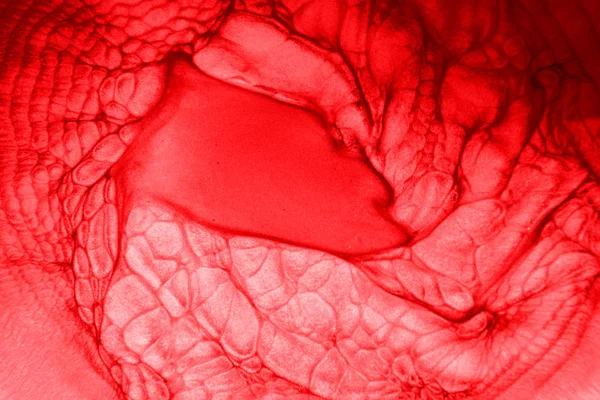 Boya fincan solvent ile karıştırılır, kırmızı ilginç desenler