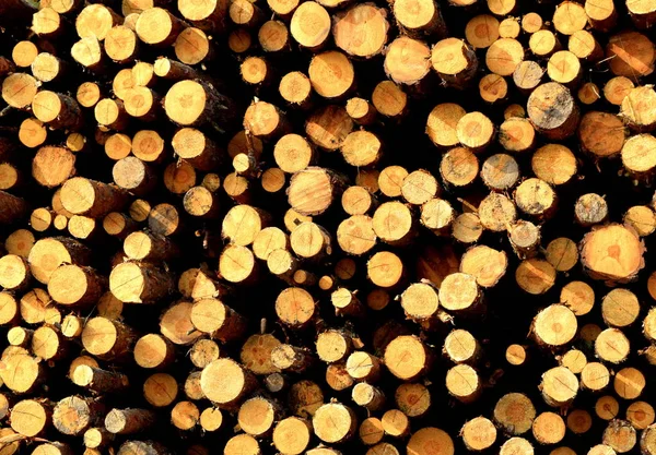 Toplama günlükleri günlük, katlanmış günlükleri bir sürü