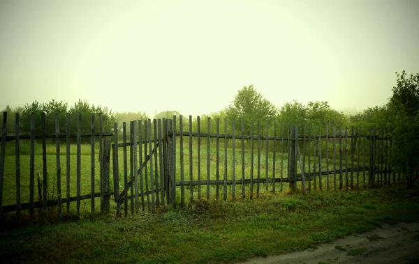 Fence with a wicket on a country plot with green grass, as there is a light fog