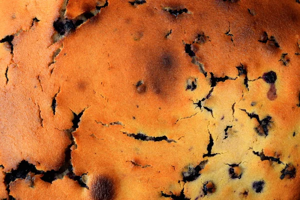 İrmikli ve yaban mersinli lezzetli turtalar, turtanın yüzeyindeki küçük çatlaklar, afiyet olsun.