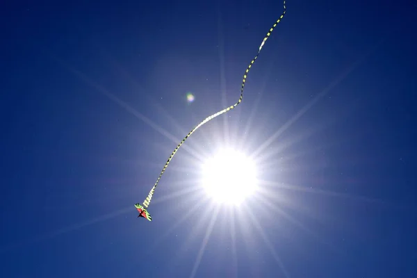 Cerf Volant Avec Une Longue Queue Rayée Contre Ciel Bleu — Photo