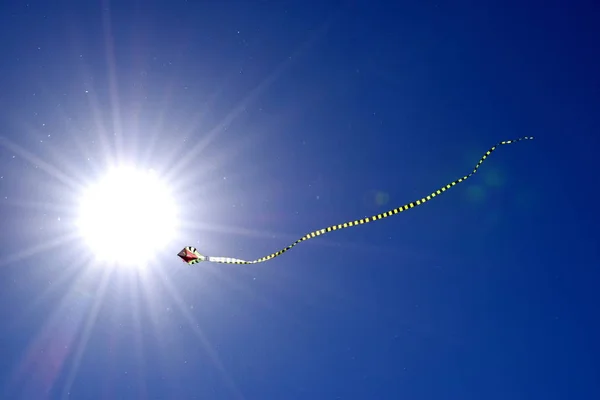 Cerf Volant Avec Une Longue Queue Rayée Contre Ciel Bleu — Photo