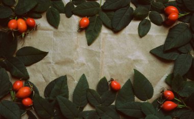 Kahverengi bir zemin üzerinde gül kalçası ve yaprakları çerçevesi