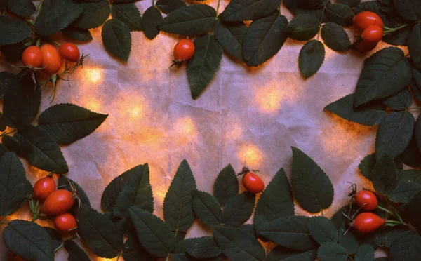 バラの実と葉がくぼんだ背景と黄色の光のガーランド — ストック写真