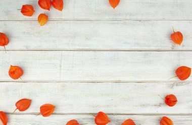 çim beyaz ahşap masa arka plan physalis kulakları